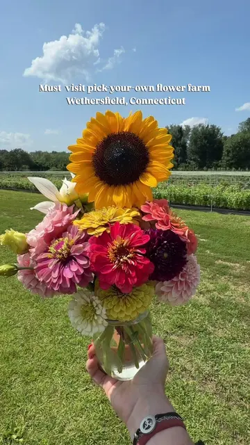 Things to do in Connecticut: pick your own flowers at 7 Acres Farm in Wethersfie