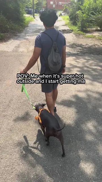 #whiteoutsurvival 