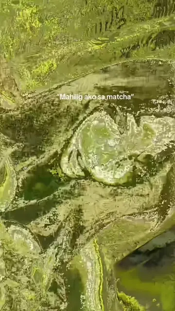 I saw everyone obsessed with the matcha aesthetic, but now the real trend is rev