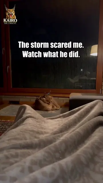 The Storm Scared Me. He Took the Night Shift 😳