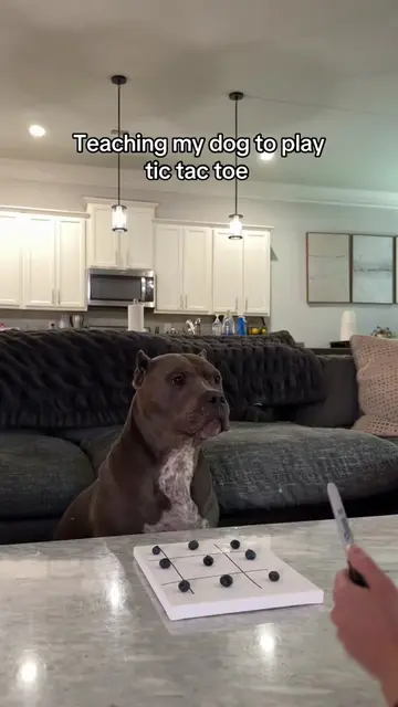 The smartest and goodest boy!