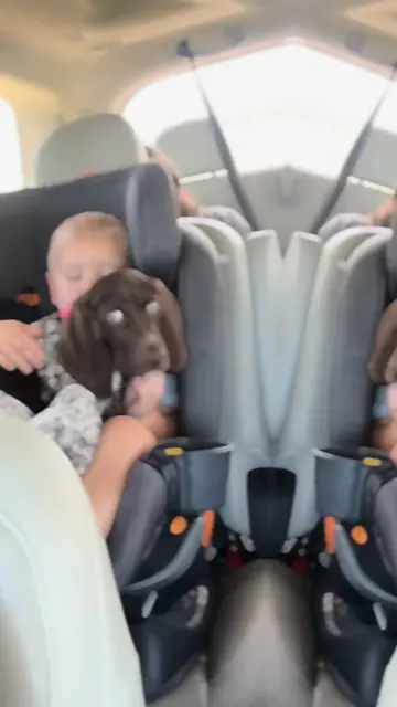 The kids are so in love!! Help us come up with a cute name for her!!  #puppycute