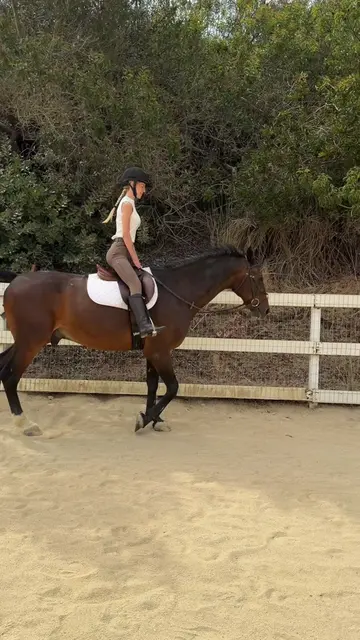 it’s been 3 years excuse me if i’m rusty #englishriding #trot #equestrian 