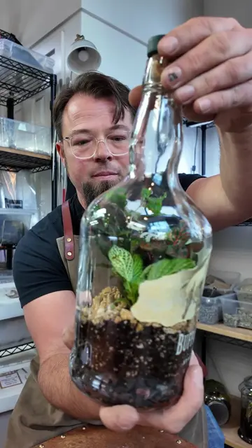 An old Buffalo Trace bottle turned into a tiny living landscape. Planted with tr