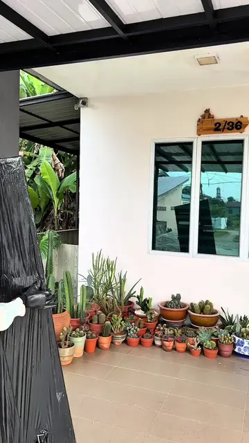 DIY tempat gantung bromeliad versi bajet ✨ Guna rak grid yang simple je, tapi bi