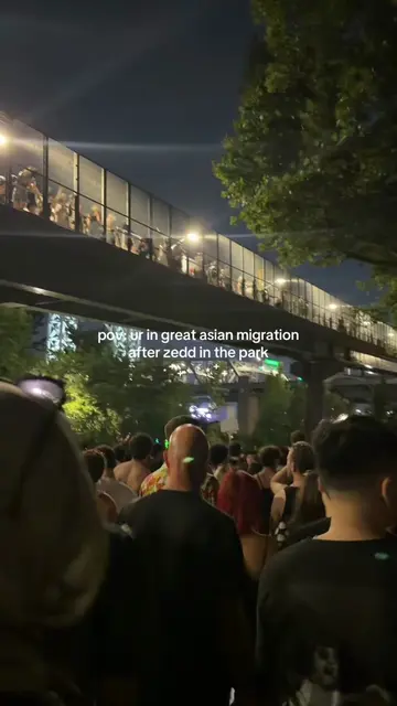 pure agony across the bridge in this asian migration fr (ง ͠ಥ_ಥ)ง  #zedd #asianm