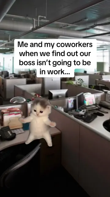 There’s nothing better than those days at work when your manager isn’t in #workl