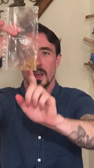 Growing an imperiled lily from seed #lily #plants #plantsoftiktok #growing 
