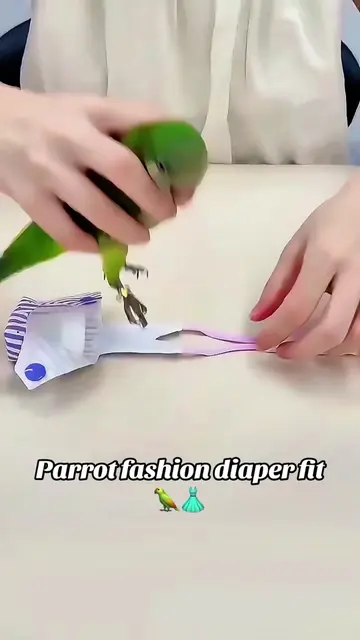Re‑usable parrot flight suit with snap buttons. Light‑weight, V‑neck design, won