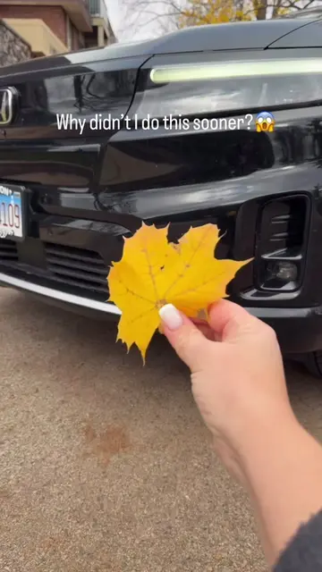 Life Hacks🫣 Why didn’t I do this sooner? 👌 #LifeHack #carhacks #safety #useful