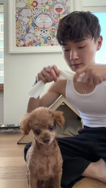 years of discipline led to this moment #toypoodle #fyp #dogsoftiktok 