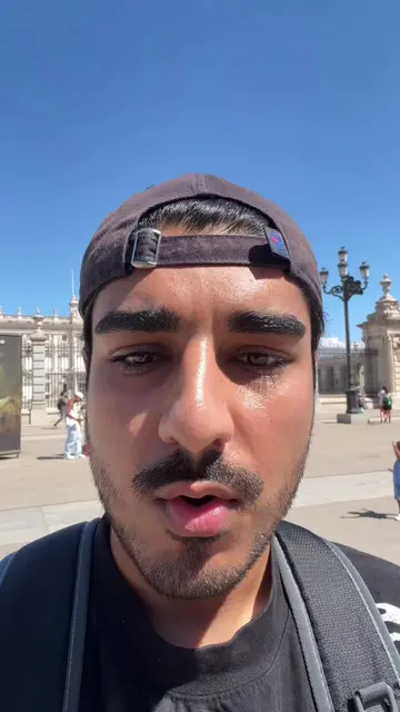 he is keeping the palace safe