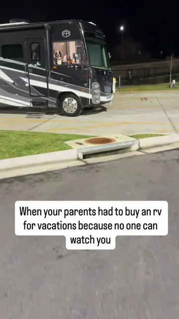 If they can’t come, we aren’t going 💕 #bernedoodle #rvlife #funnydogs #fyp #dog