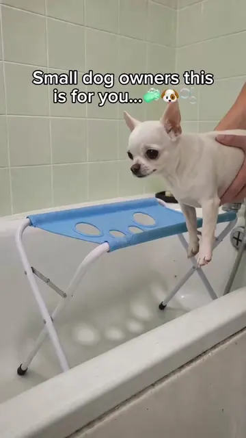 Get your Now!👉🏻 #DogMom #petslover #petgrooming #DogCare #DogLovers 