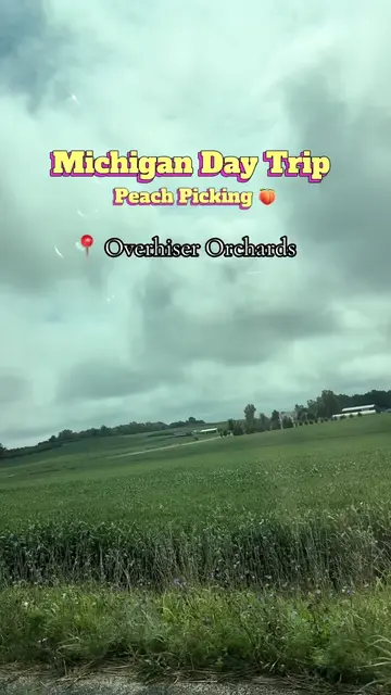 Overhiser Orchards 🍑✨ u‑pick fruit, fresh cider, bakery treats, sunflower field