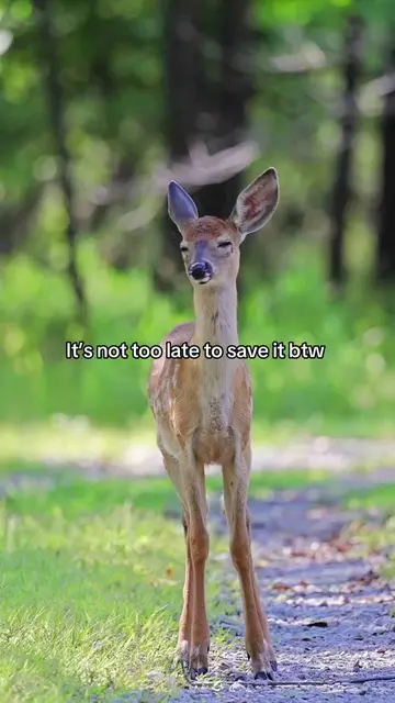 And it can be as simple as switching to EcoGPT. Protect what matters and give ba