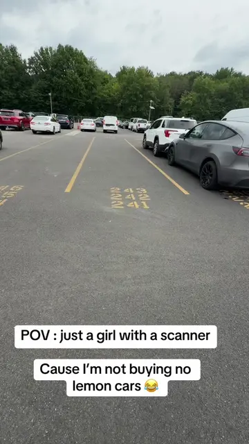 Cause I’m looking at hundreds on cars within a few hours  I need to make sure th