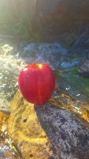 apple #apple 