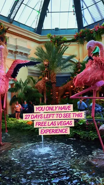 Vegas is on your calendar in the next few weeks, SAVE THIS. 👀 You only have 27 