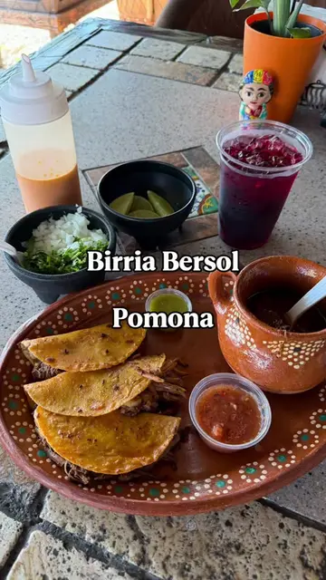 This is literally the best birria I have had since I started doing taco reviews.