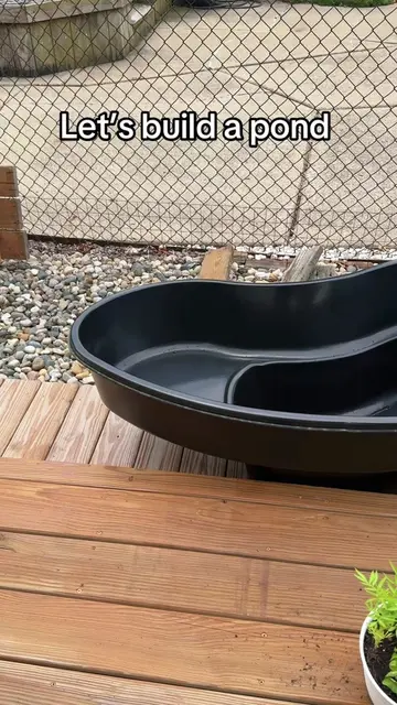 My little puddle pond is officially coming to life 😂💦🌿 No fish — just a tiny 