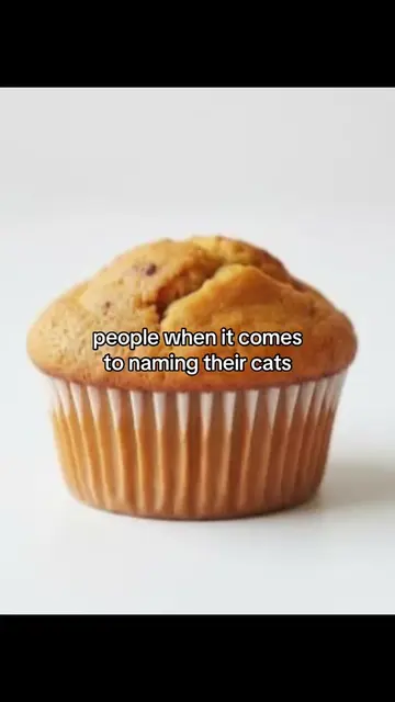 and it’s always foods #cat #real #relatable #repost #food