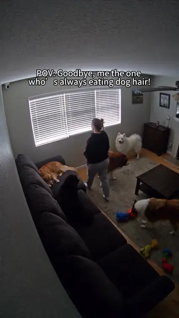POV: Goodbye, me the one who’s always eating dog hair!#heapets #PetHair #petairp