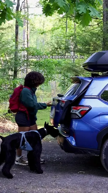These 3 dog-friendly experiences will make your trip to New River Gorge National
