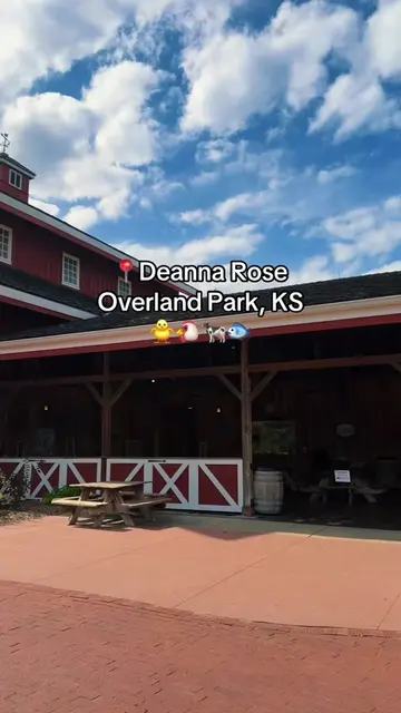 If you are looking for a cheap activity near KC, check this place out!!🐥☀️ they