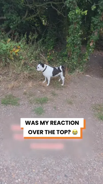 Nobody messes with my dog 😡 I’ll always protect my dog if another dog comes at 