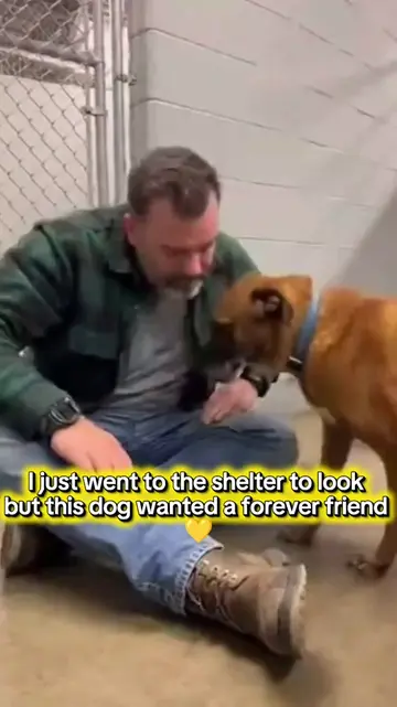 We both found a best friend UPDATE: I went into the shelter not expecting to ado