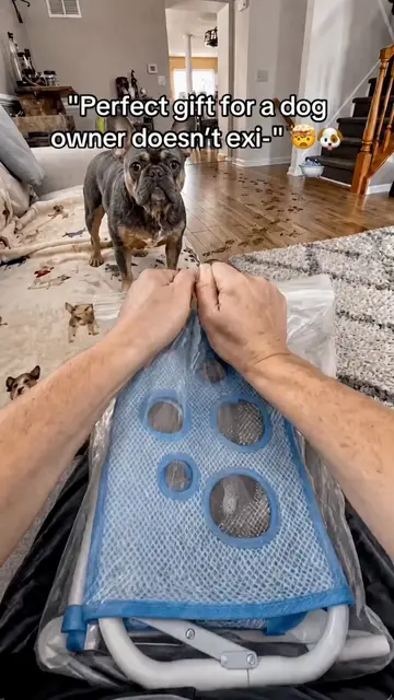 This pet shower holder is a game changer! 🐶🛁 #dog #puppybath #freshpup 