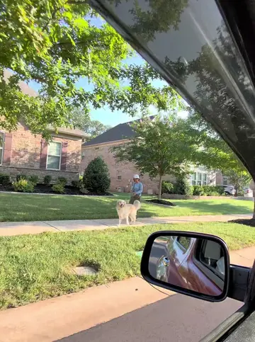 Blessing dogs with free pup cups and treats 