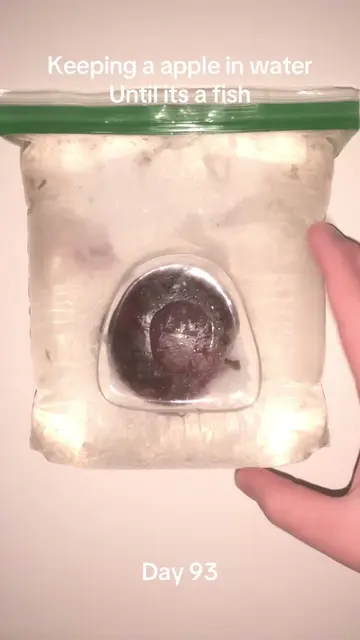 #viralchallenge #pleasedontflop #sciencefun #appleexperiment #appleinwater 
