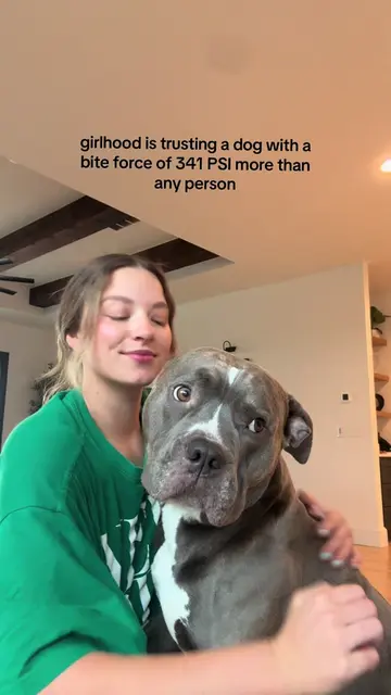 my precious baby 🥹 #dogtok #dogmoms #pitbulls #pitbullsoftiktok #pitbulllover 
