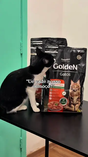Todo dia o despertador por aqui toca de uma maneira diferente, as divas sabem a 