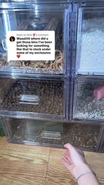 Replying to @Herb 🦞 this is how I organize my plant substrate 💚 #plants #Plant
