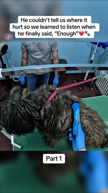 He wasn’t just covered in dirty, matted fur he was carrying pain that nobody cou