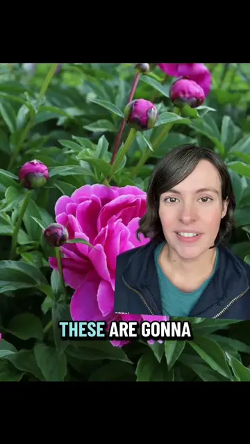 Fall is a great time to plant in general, but some plants really seem to get a b