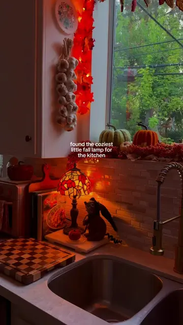 found the coziest little fall lamp for the kitchen 🍁🍂🤎 (🔗 in my a‿z  strfrnt