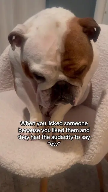 So sad 😞 #dogsoftiktok #dogtok #puppytiktok #funnyvideo #funnydog 