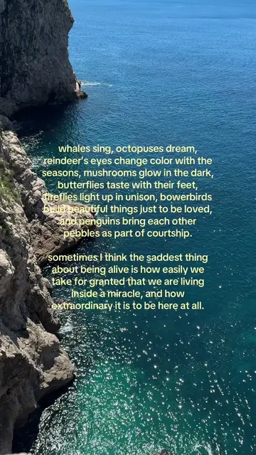 We are so lucky to call this planet our home 🥹 #fyp #climatechange #whimsy #pla