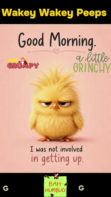 Wakey Wakey Peeps. I did not want to participate today. #friends #funny #goodmor