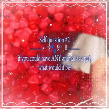 scroll breakkk!!  #stimboard #animal #red #selfquestion #xyzbca 