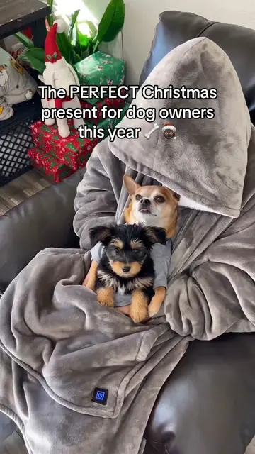 The most needed dog gift ever!🐶❤️😭 #dogs #smalldogs #tiktokmademebuyit #dog 