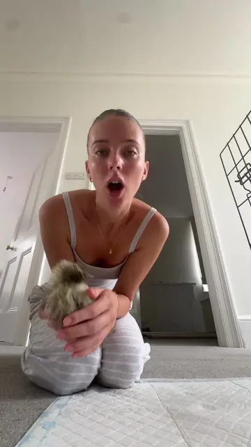My Shayla 🥺 #petsitter #chickensoftiktok #petsitting 