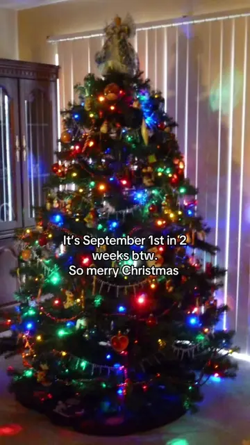 The start of Christmas! #christmasday #bermonths #christmas #christmastime #chri