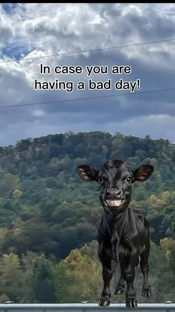 #fypシ゚viral #funnyvideo #lifestruggles #badday #workstruggles 