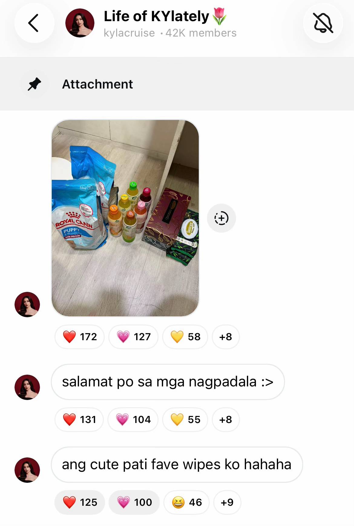 🥰🫶🏻 @ram @Kyla Cruz @rocky #ram #kylacruz #fypシ #makeitvirаl #KYRAM 