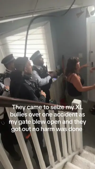 A terrifying situation unfolded when strong winds broke the gate to her property